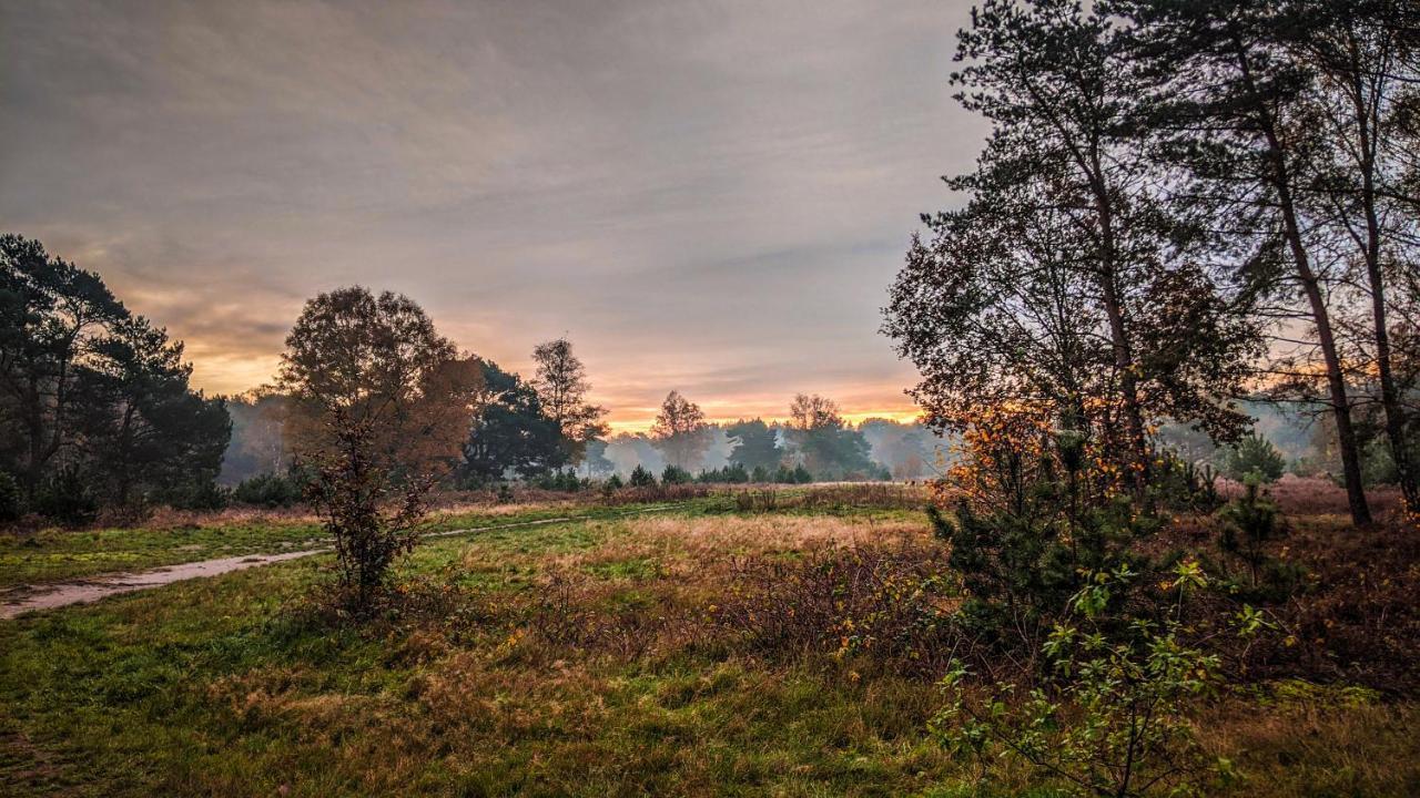 Chalet Op De Veluwe # Eiken Putten Dış mekan fotoğraf